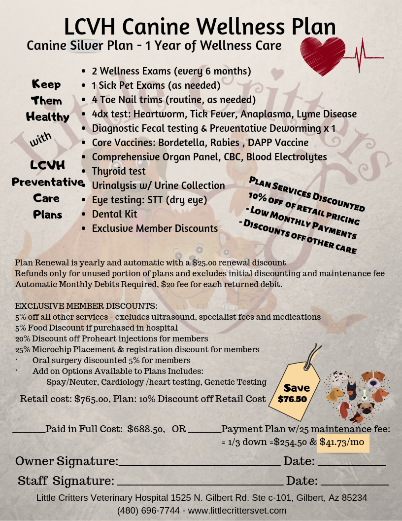 Little Critters Veterinary Hospital Adult Dog Health Plans Gilbert AZ